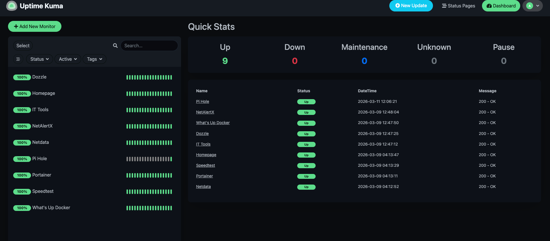 Uptime Kuma dashboard showing 9 services monitored, all at 100% uptime with green status bars